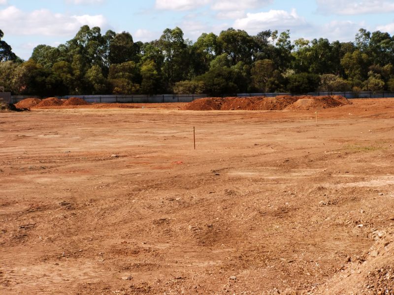 Land Clearing Before Development