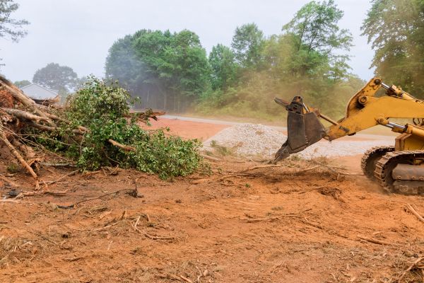 Ground Clearing in Endicott
