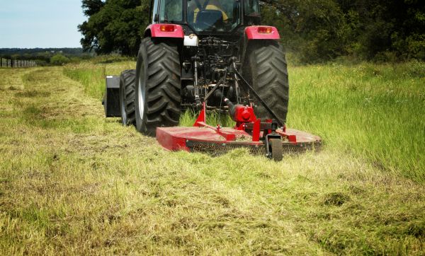 Brush Clearing Service in Endicott
