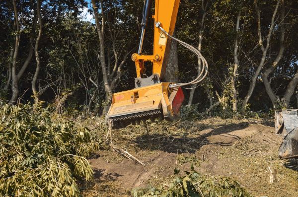 Brush Removal Service in Endicott