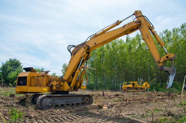 Farm Clearing in Endicott