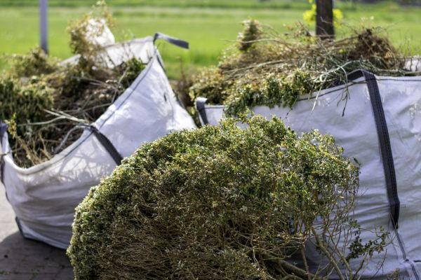 Bushes Clearing in Endicott